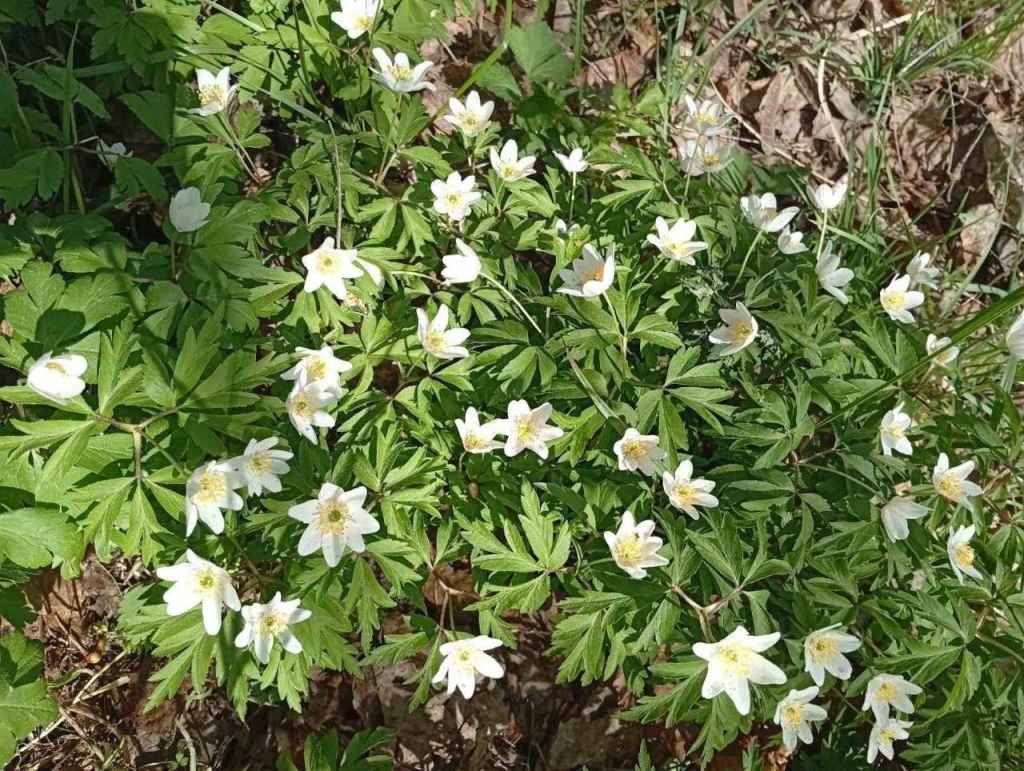 photo_2026-04-25_14-46-31 (4).jpg